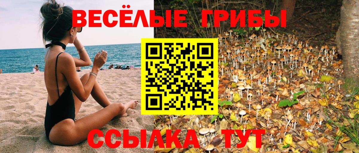 Псилоцибиновые грибы мицелий  Вход с VPN  Сланцы 